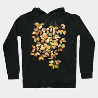 autumn yellow orange beech leaves watercolor Hoodie